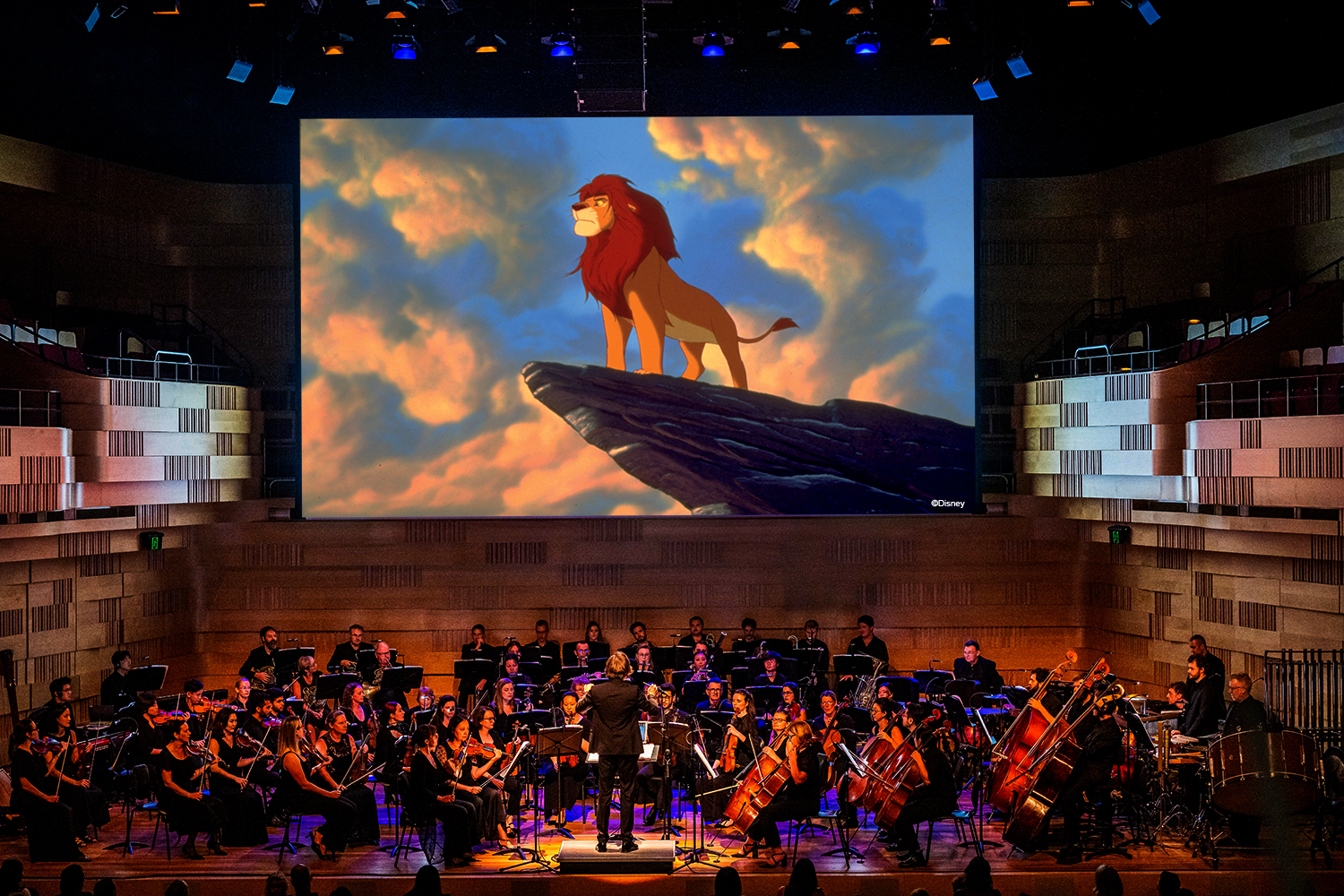 Disney's Lion King Live in Concert