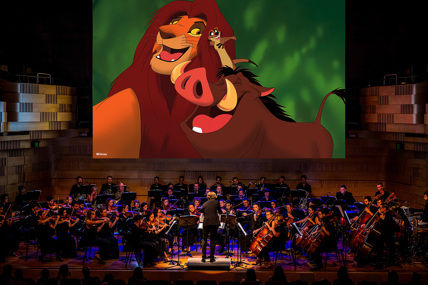 Disney's Lion King Live in Concert