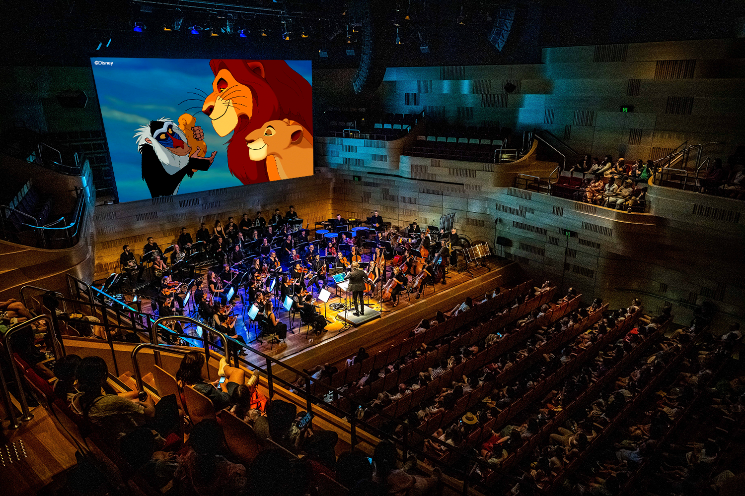 Disney's Lion King Live in Concert