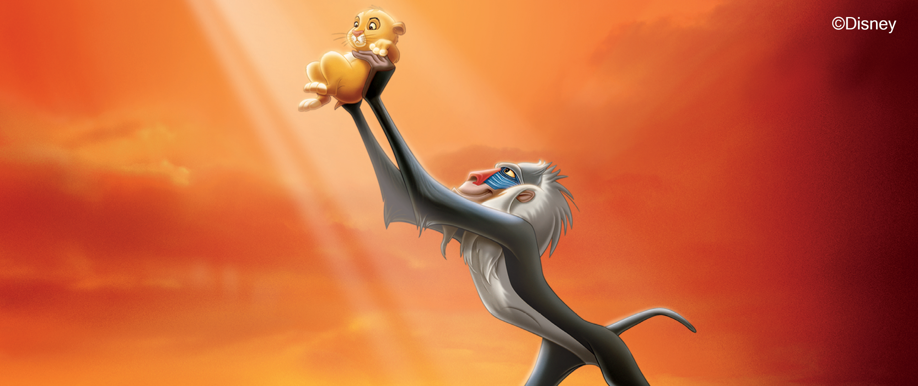 WSO2025_1500x630_LionKing_Disney.png